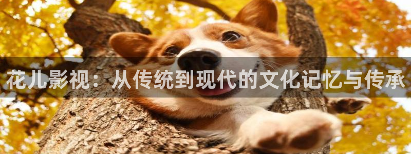 樱桃影视电视剧免费网站