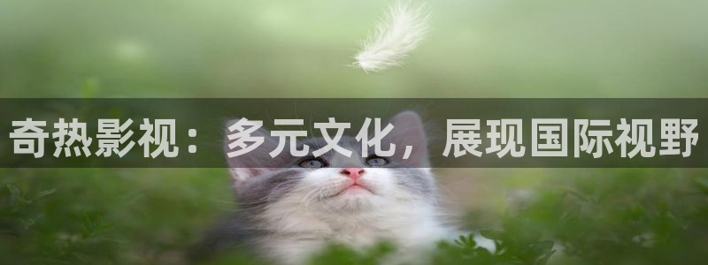 樱桃电影视频
