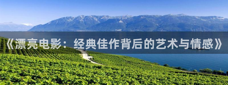 樱桃影院免费观看电视剧高清免费