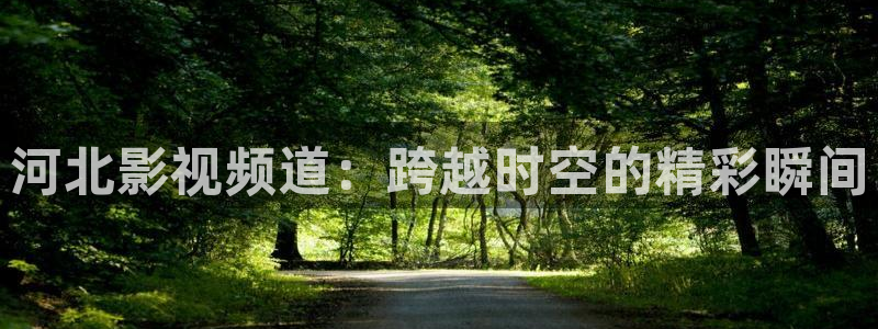樱桃电视剧在线看免费