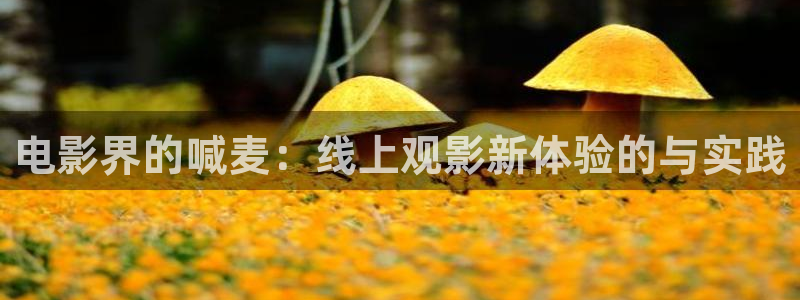 樱桃视频下