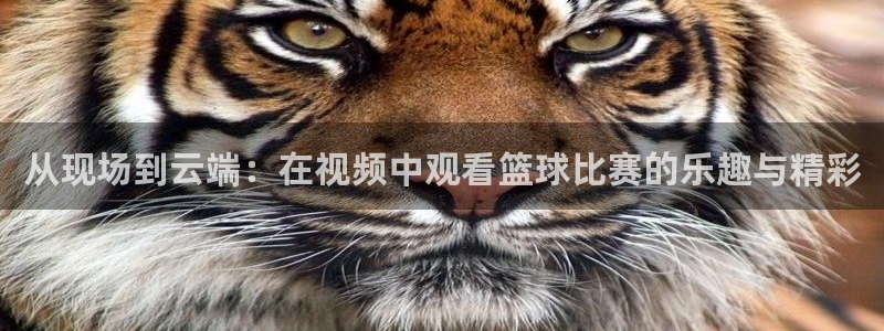 樱桃熟了视频