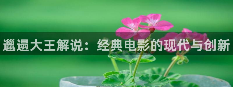 樱桃小视频视频在线观看