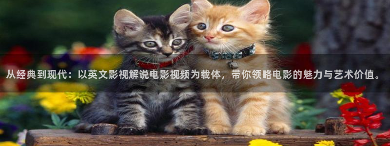 樱桃视频大全免费