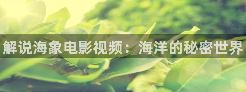 樱桃成人短视频