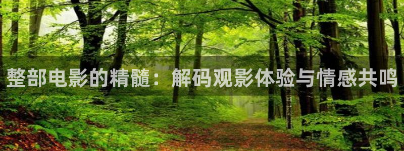 樱桃 视频 成人