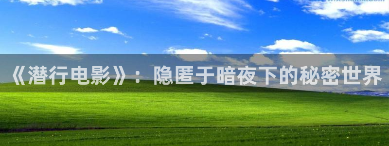 樱桃视频软件下载
