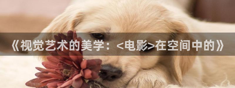 樱桃视频sss