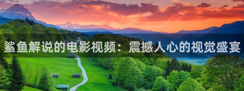 樱桃的种类