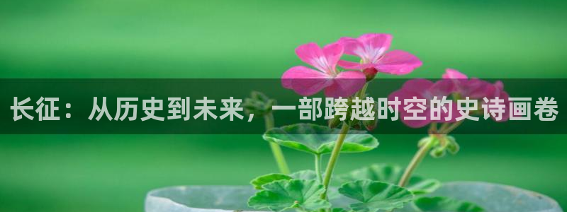 类似樱桃视频
