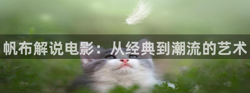 樱桃如何剪枝视频