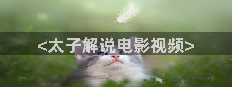 新闻图片